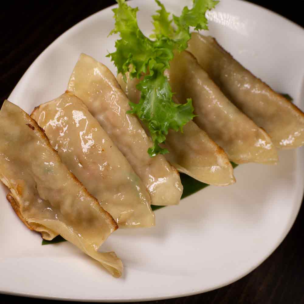 Gyoza at Mr Sushi & Grill, Middletown NY